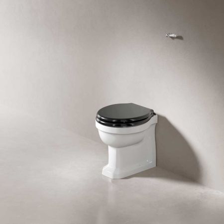 Ashbee and Stone Tamar Back To Wall Toilet With Ceramic Lever - Angled