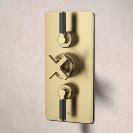 Bayor Dual Outlet Concealed Shower with Handheld Shower Hook & 210mm Ceiling Arm with 8" Rose - Black Lever - Brushed Brass