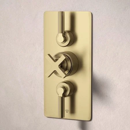 Bayor Dual Outlet Concealed Shower with Handheld Shower Hook & 210mm Ceiling Arm with 8" Rose - Metal Lever - Brushed Brass