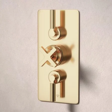 Bayor Dual Outlet Concealed Shower with Slider Rail & 8" Rose - Metal Lever