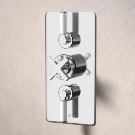 Bayor Dual Outlet Concealed Shower with Handheld Shower Hook & 8" Rose - White Lever