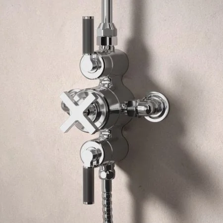 Bayor Dual Outlet Exposed Shower with Handheld Shower Hook & 8" Rose - Black Lever