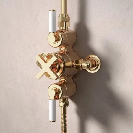 Bayor Dual Outlet Exposed Shower with Handheld Shower Hook & 8" Rose - White Lever