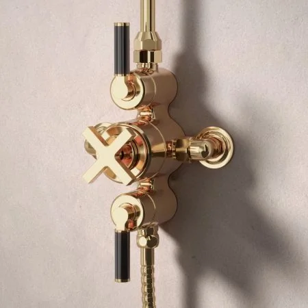 Bayor Dual Outlet Exposed Shower with Slider Rail & 8" Rose - Black Lever - Living Brass