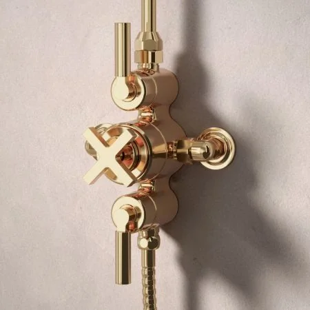 Bayor Dual Outlet Exposed Shower with Riser Mounted Handheld Shower & 8" Rose - Metal Lever - Living Brass
