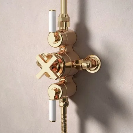 Bayor Dual Outlet Exposed Shower with Handheld Shower Hook & 8" Rose - White Lever - Living Brass