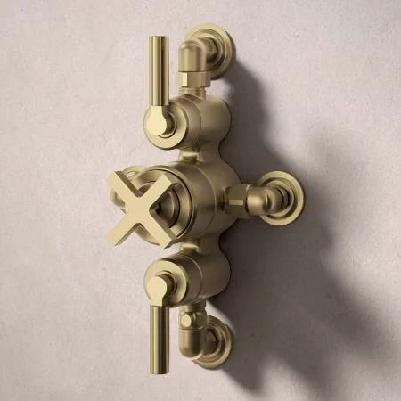Bayor Dual Outlet Semi Exposed Shower with Slider Rail & 8" Rose - Metal Lever