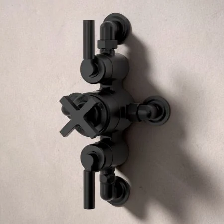 Bayor Dual Outlet Semi Exposed Shower with Handheld Shower Hook & 8" Rose - Metal Lever