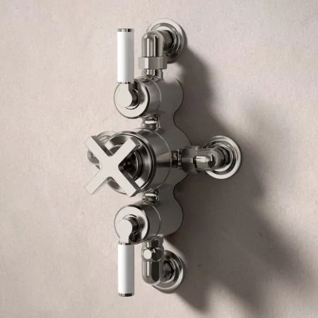 Bayor Dual Outlet Semi Exposed Shower with Handheld Shower Hook & 8" Rose - White Lever