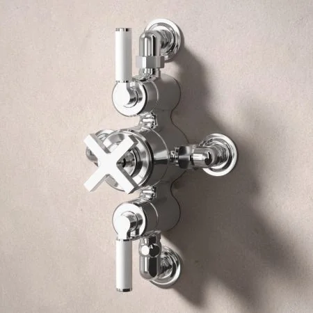 Bayor Dual Outlet Semi Exposed Shower with Slider Rail & 8" Rose - White Lever