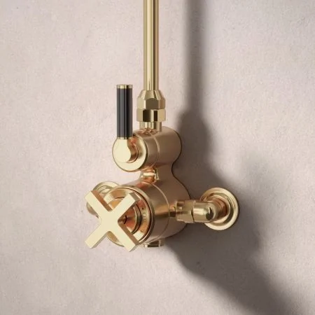 Bayor Single Outlet Exposed Shower with 8" Rose - Black Lever