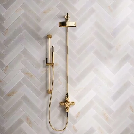 Bayor Dual Outlet Exposed Shower with Slider Rail, 8" Rose & Black Levers in Living Brass