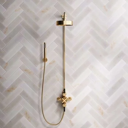 Bayor Dual Outlet Exposed Shower with Handshower Hook, 8" Rose & Black Levers in Living Brass