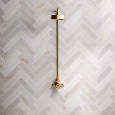 Bayor Single Outlet Exposed Shower with 8" Rose & Metal Levers in Brushed Brass