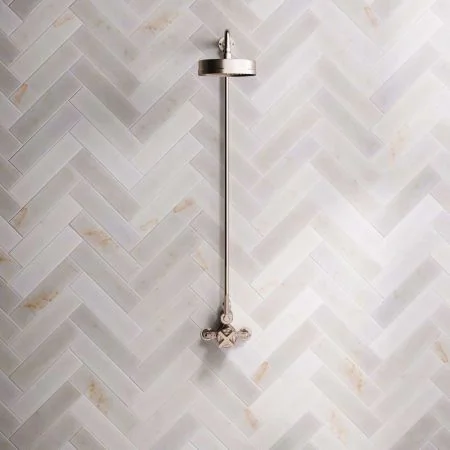 Bayor Single Outlet Exposed Shower with 8" Rose & Metal Levers in Brushed Nickel