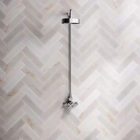 Bayor Single Outlet Exposed Shower with 8" Rose & Metal Levers in Chrome