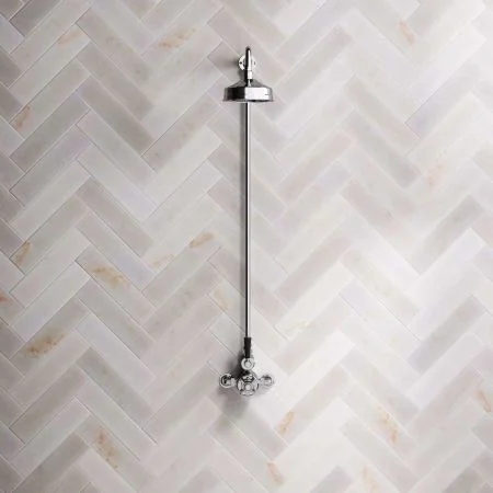 Linton Single Outlet Exposed Shower with 6" Rose & Black Levers in Chrome