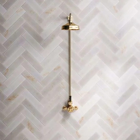 Linton Single Outlet Exposed Shower with 8" Rose & Black Levers in Living Brass