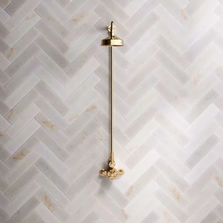 Linton Single Outlet Exposed Shower with 6" Rose & Metal Levers in Living Brass