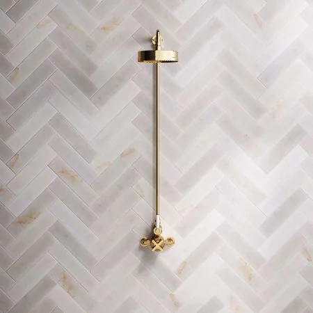 Bayor Single Outlet Exposed Shower with 8" Rose & White Levers in Living Brass