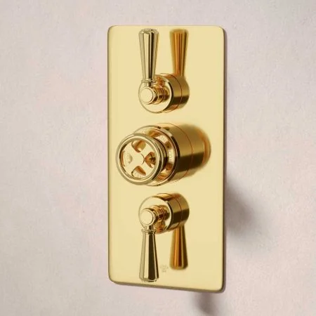Klee Dual Outlet Concealed Shower with Hook Mount, 300mm Wall Arm & 8" Rose - Metal Lever - Living Brass