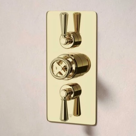 Klee Dual Outlet Concealed Shower with Hook Mount, 300mm Wall Arm & 8" Rose - Metal Lever - Timeless Brass