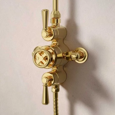 Klee Dual Outlet Exposed Shower with Rigid Riser, Hook Mount & 8" Rose - Metal Lever - Living Brass