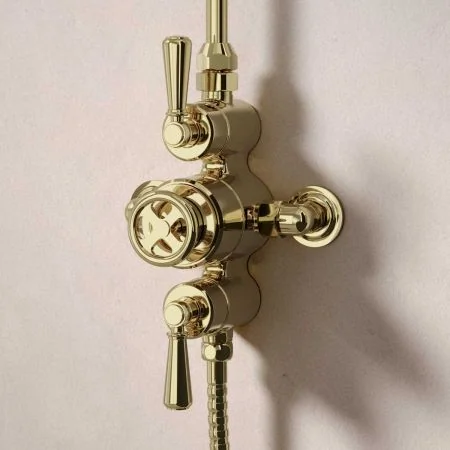 Klee Dual Outlet Exposed Shower with Rigid Riser, Slider Rail & 8" Rose - Metal Lever - Timeless Brass