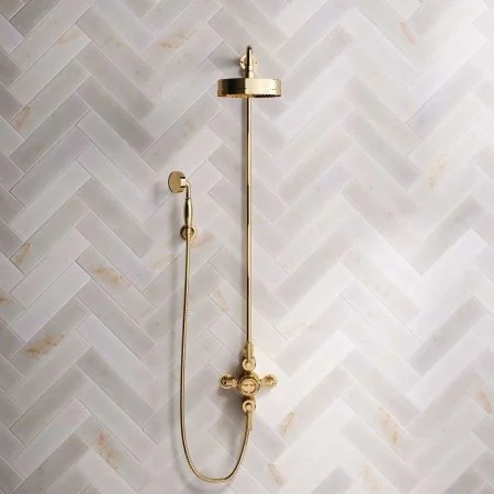 Klee Dual Outlet Exposed Shower with Rigid Riser, Hook Mount & 8" Rose - Metal Lever - Living Brass