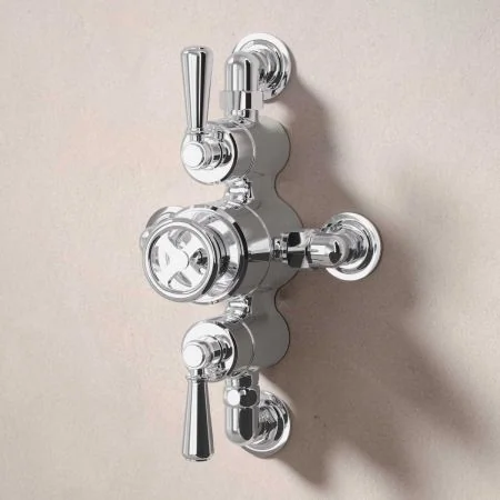 Klee Dual Outlet Semi Exposed Shower with Hook Mount & 8" Rose - Metal Lever