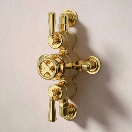 Klee Dual Outlet Semi Exposed Shower with Slider Rail, 500mm Wall Arm & 8" Rose - Metal Lever - Living Brass