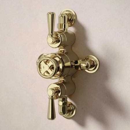 Klee Dual Outlet Semi Exposed Shower with Slider Rail, 210mm Ceiling Arm & 8" Rose - Metal Lever - Timeless Brass