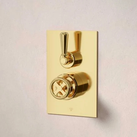 Klee Single Outlet Concealed Shower with 300mm Wall Arm & 8" Rose - Metal Lever - Living Brass