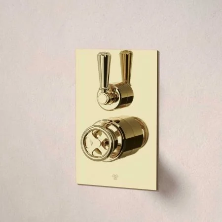 Klee Single Outlet Concealed Shower with 500mm Wall Arm & 8" Rose - Metal Lever - Timeless Brass