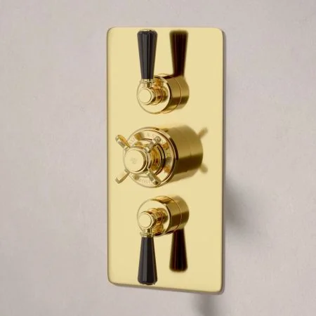 Linton Dual Outlet Concealed Shower with Handheld Shower Hook, 210mm Ceiling Arm & 6" Rose - Black Lever - Living Brass