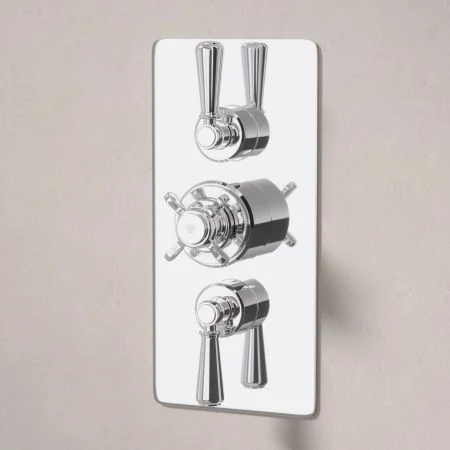 Linton Dual Outlet Concealed Shower with Handheld Shower Hook, 210mm Ceiling Arm & 6" Rose - Metal Lever - Chrome