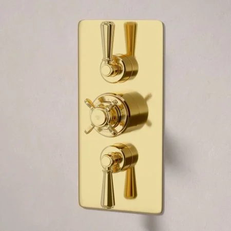 Linton Dual Outlet Concealed Shower with Handheld Shower Hook, 210mm Ceiling Arm & 6" Rose - Metal Lever - Living Brass