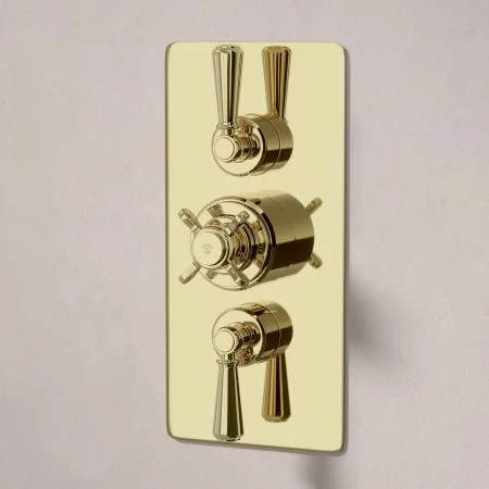 Linton Dual Outlet Concealed Shower with Handheld Shower Hook, 500mm Wall Arm & 8" Rose - Metal Lever - Timeless Brass