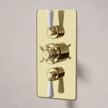 Linton Dual Outlet Concealed Shower with Handheld Shower Hook, 500mm Wall Arm & 8" Rose - White Lever - Timeless Brass