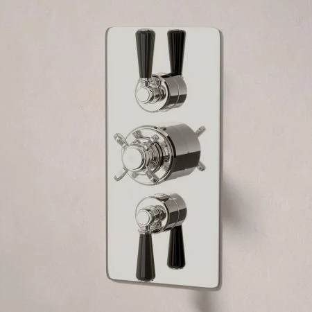 Linton Dual Outlet Concealed Shower with Handheld Shower Hook - Black Lever