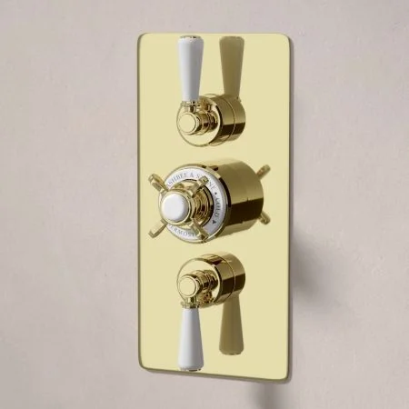 Linton Classic Dual Outlet Concealed Shower with Handheld Shower Hook, 300mm Wall Arm & 8" Rose - White Lever  - Timeless Brass