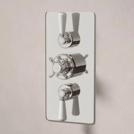 Linton Dual Outlet Concealed Shower with Handheld Shower Hook - White Lever