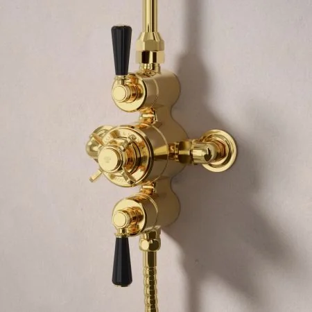 Linton Dual Outlet Exposed Shower with Handheld Shower Hook & 6" Rose - Black Lever - Living Brass