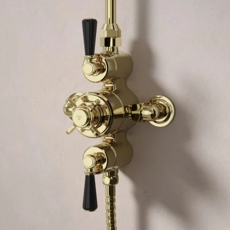 Linton Dual Outlet Exposed Shower with Handheld Shower Hook & 6" Rose - Black Lever - Timeless Brass