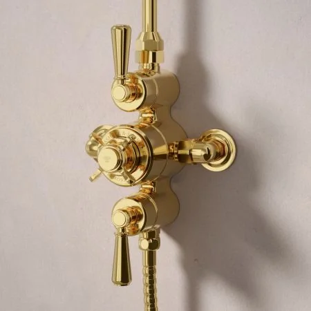 Linton Dual Outlet Exposed Shower with Handheld Shower Hook & 6" Rose - Metal Lever - Living Brass
