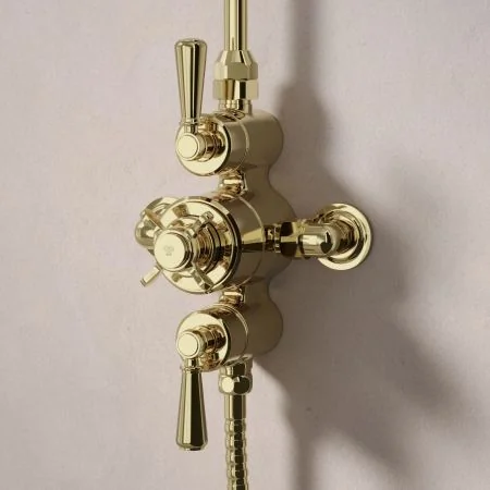 Linton Dual Outlet Exposed Shower with Handheld Shower Hook & 6" Rose - Metal Lever - Timeless Brass