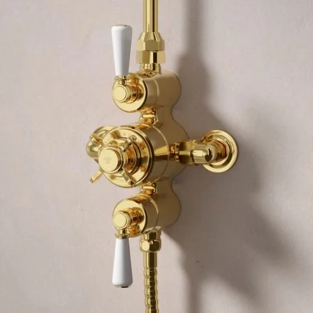 Linton Dual Outlet Exposed Shower with Handheld Shower Hook & 6" Rose - White Lever - Living Brass