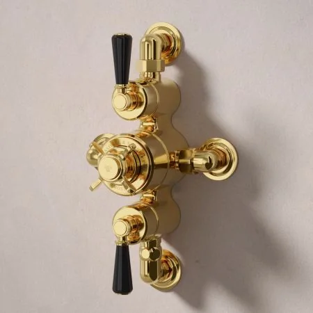 Linton Dual Outlet Semi Exposed Shower with Handheld Shower Hook, 210mm Ceiling Arm & 6" Rose - Black Lever - Living Brass