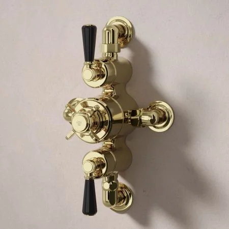 Linton Dual Outlet Semi Exposed Shower with Handheld Shower Hook, 210mm Ceiling Arm & 6" Rose - Black Lever - Timeless Brass
