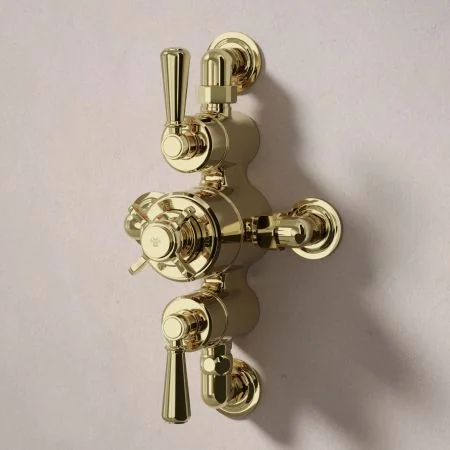 Linton Dual Outlet Semi Exposed Shower with Handheld Shower Hook, 500mm Wall Arm & 6" Rose - Metal Lever - Timeless Brass
